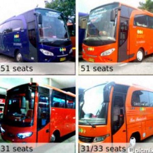 jasabuspariwisata-bus-pariwisata-bee-trans-kapasitas