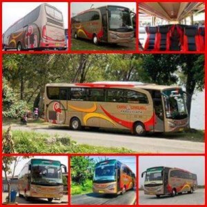 jasabuspariwisata-bus-pariwisata-cahya-gemilang-interior