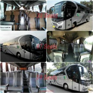 jasabuspariwisata-bus-city-trans-utama-unit