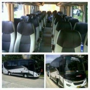 jasabuspariwisata-bus-pariwisata-dian-trans-interior-medium