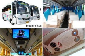 jasabuspariwisata-bus-pariwisata-kanaya-trans-wisata-medium