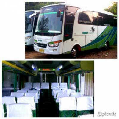 jasabuspariwisata-bus-pariwisata-green-white-medium