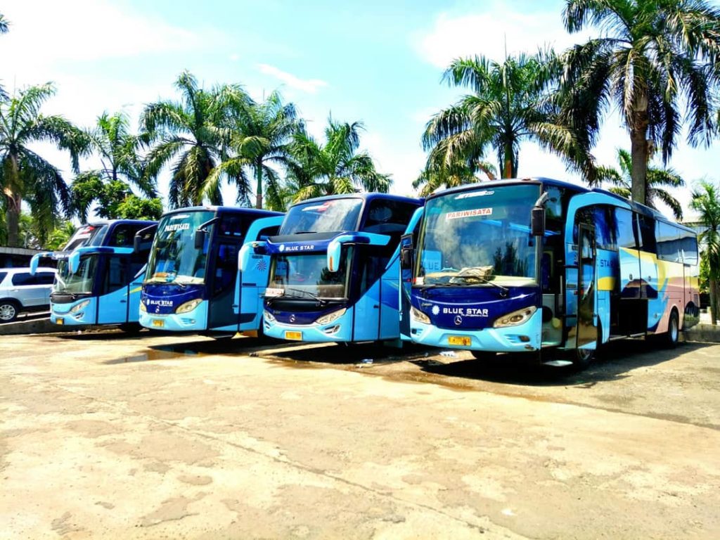 Mengapa harus menggunakan bus pariwisata Blue Star - Traveling Seru dengan Bus Pariwisata Blue Star